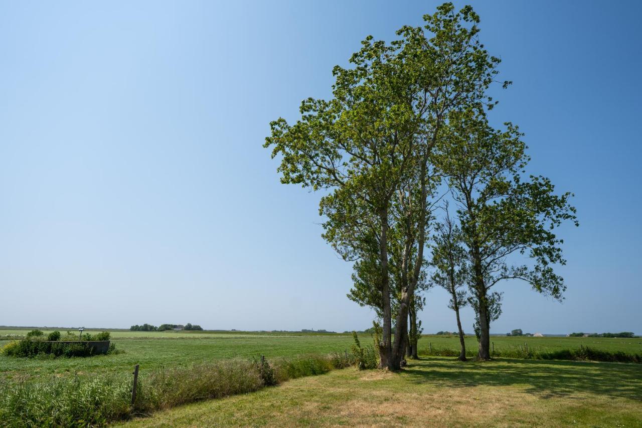 Johanneshoeve - De Mooiste Plek Op Texel Den Hoorn  Εξωτερικό φωτογραφία