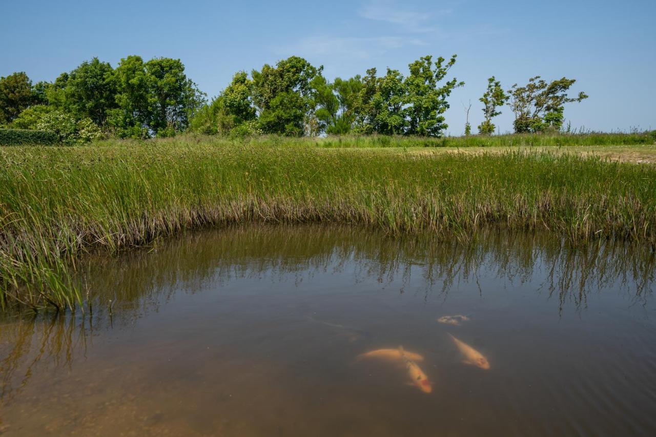 Johanneshoeve - De Mooiste Plek Op Texel Den Hoorn  Εξωτερικό φωτογραφία